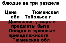 блюдце на три раздела › Цена ­ 250 - Тюменская обл., Тобольск г. Домашняя утварь и предметы быта » Посуда и кухонные принадлежности   . Тюменская обл.